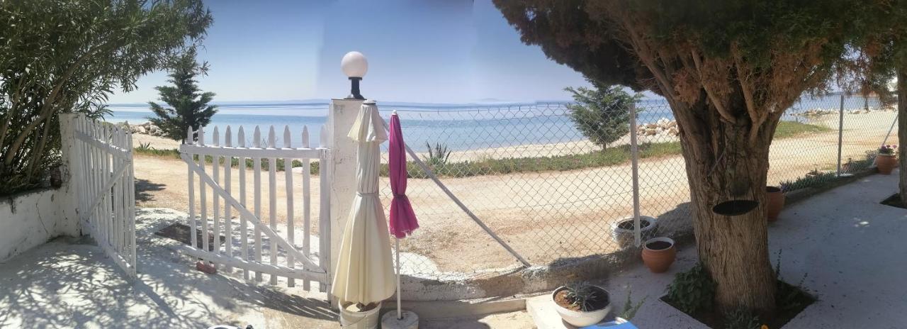 Villa Porto Almira Nikiti  Esterno foto